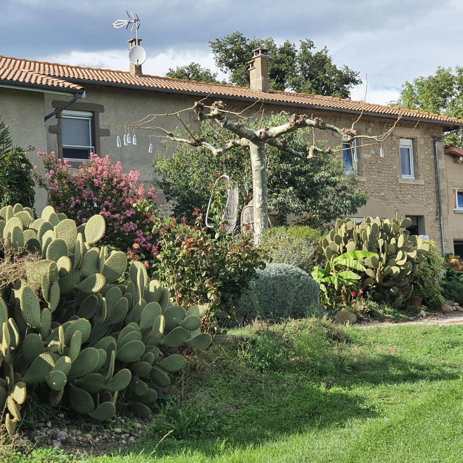 Les Figuets Villa Chateauneuf-de-Galaure Buitenkant foto