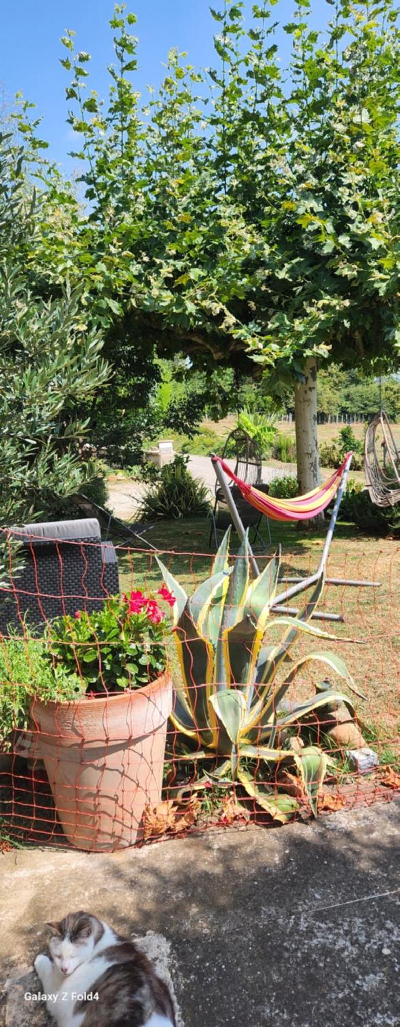 Les Figuets Villa Chateauneuf-de-Galaure Buitenkant foto