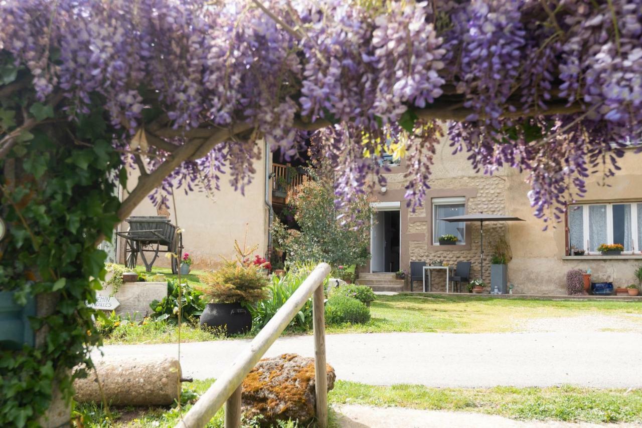 Les Figuets Villa Chateauneuf-de-Galaure Buitenkant foto